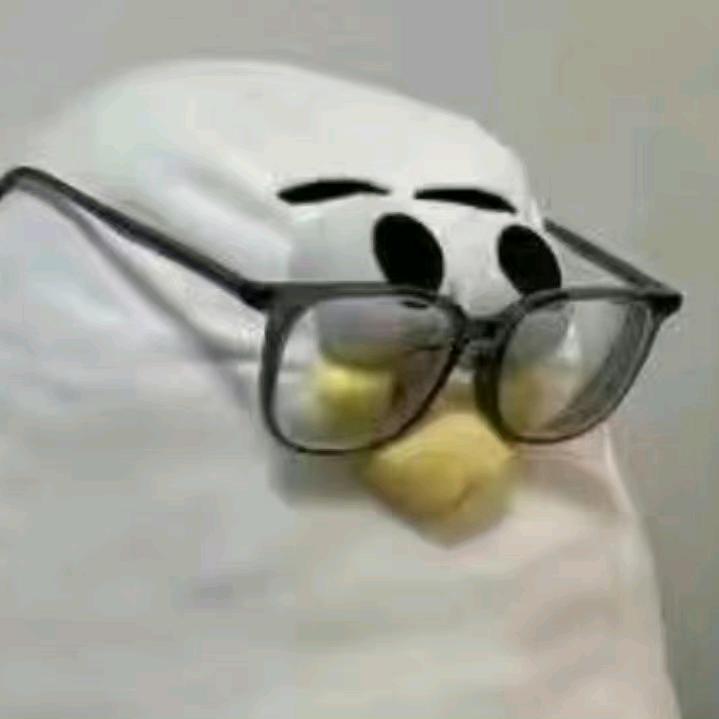 咸鱼每天都有好好努力