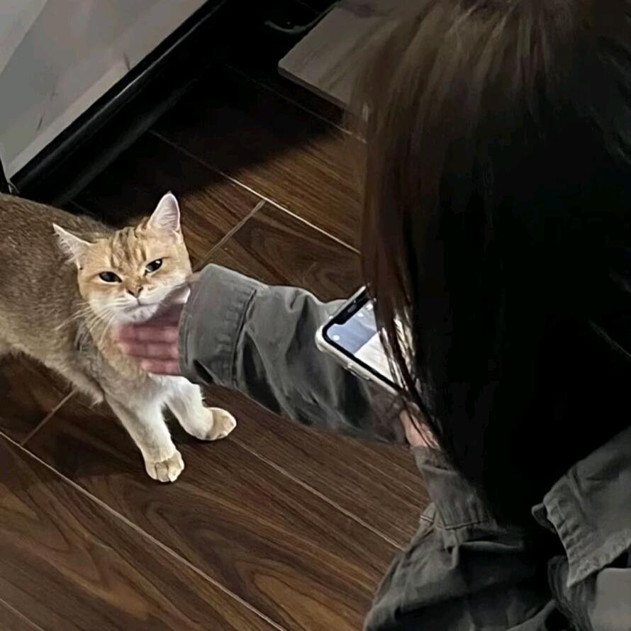 糖糖