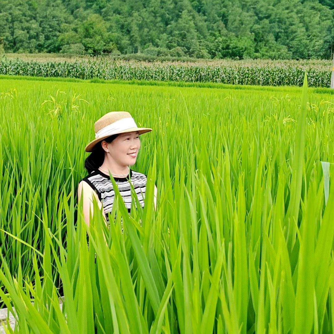 张小苏