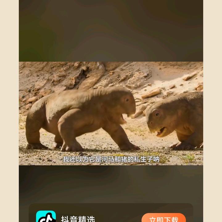用户28278044