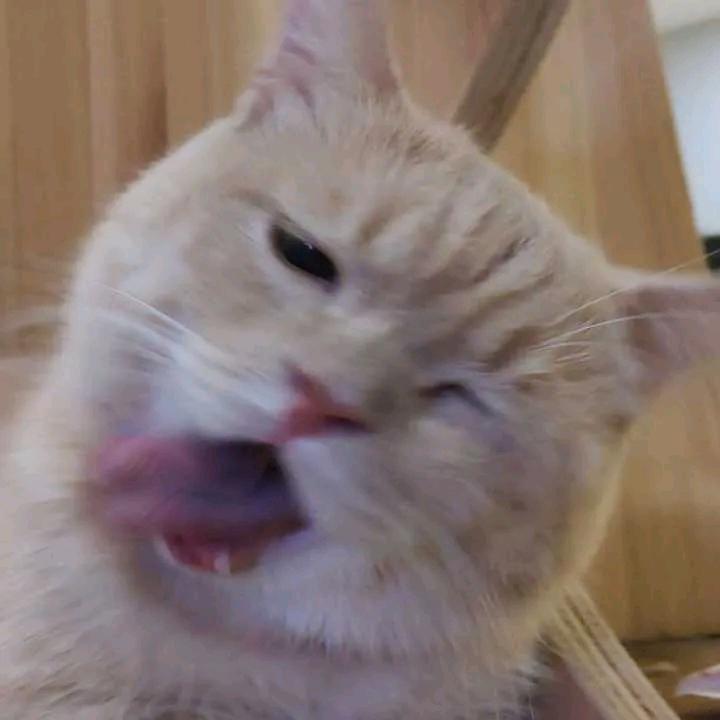 我上早八