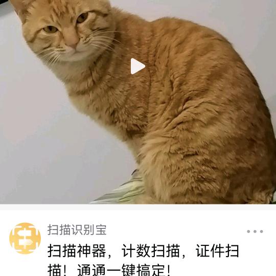 毛哥2