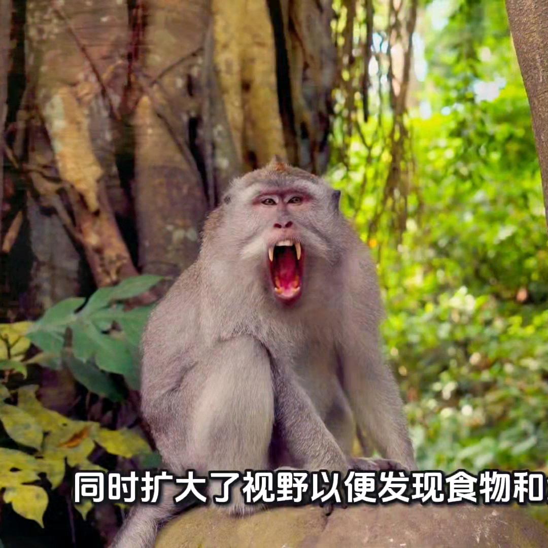 快乐每一天