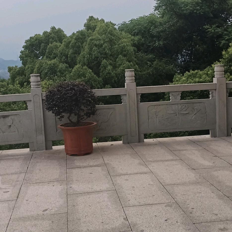 依然之念。