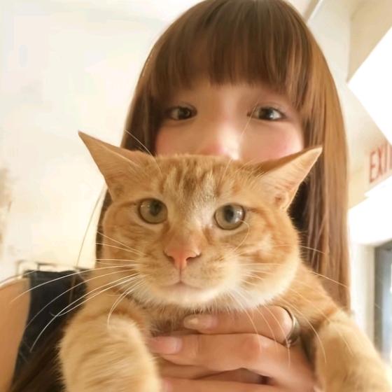 椰椰🌴.ᐟ.ᐟᯅ̈