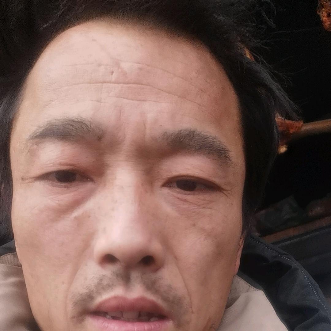 高师专业l伐树清果园