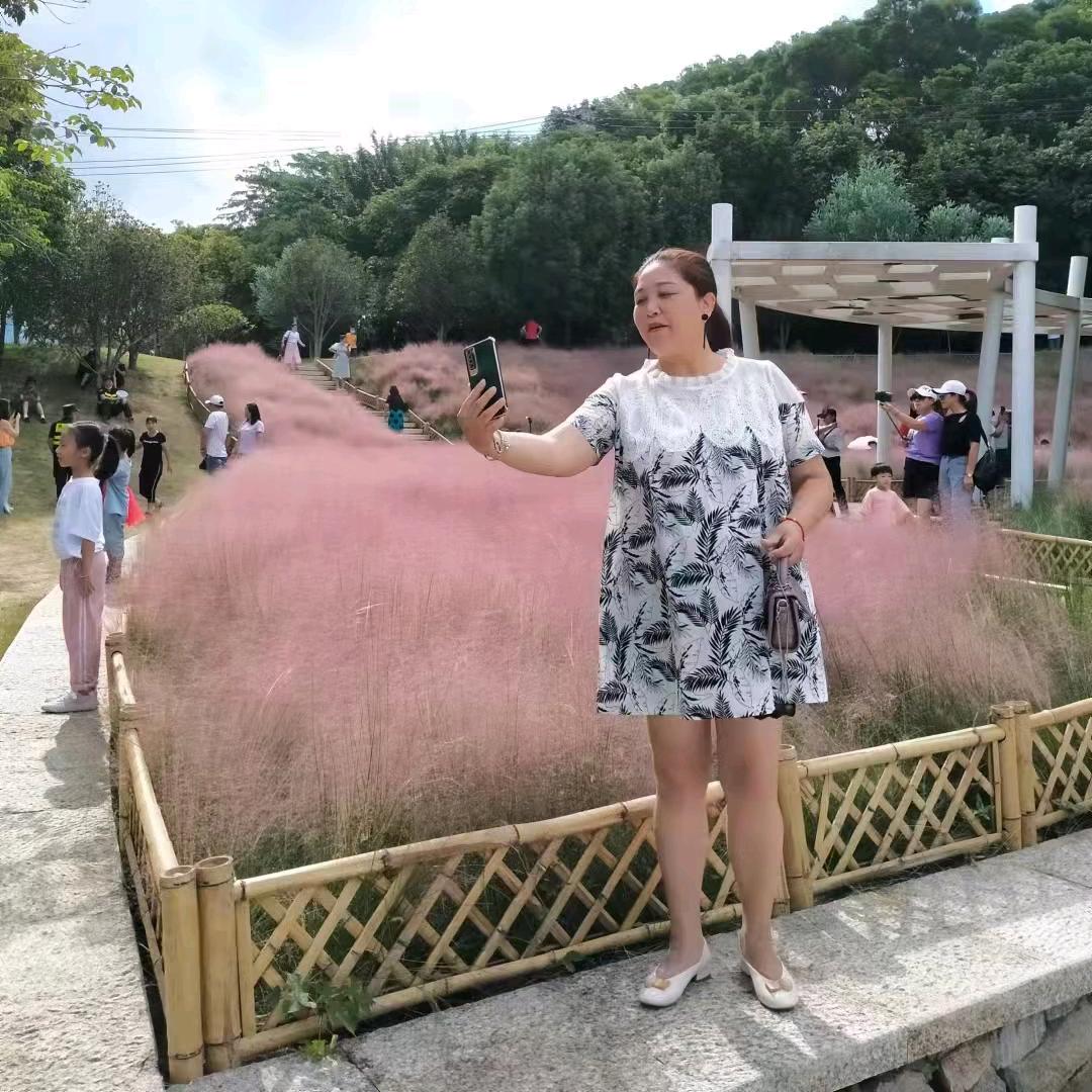 胖胖熊
