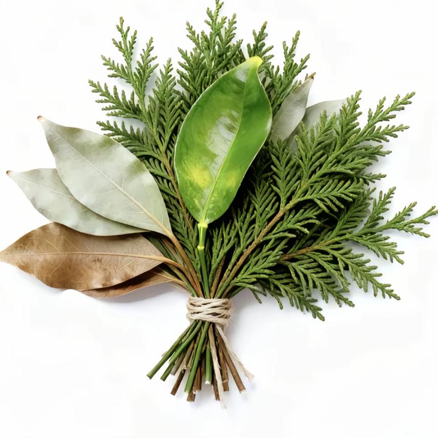 百变咖咖不emo（佛系无流版)