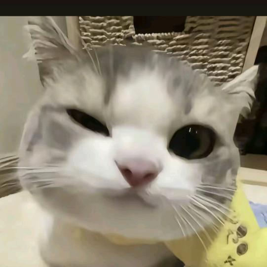 小小张