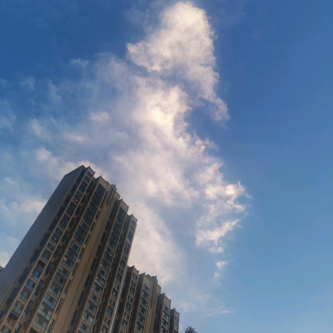白水渭北老李管弦乐队