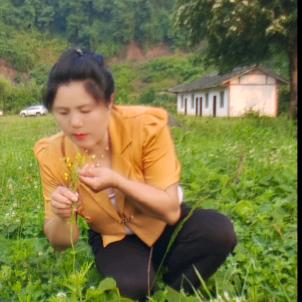 韦美《讲》土方植物分享