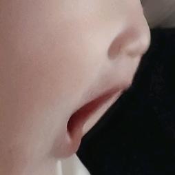 一只小蛋蛋