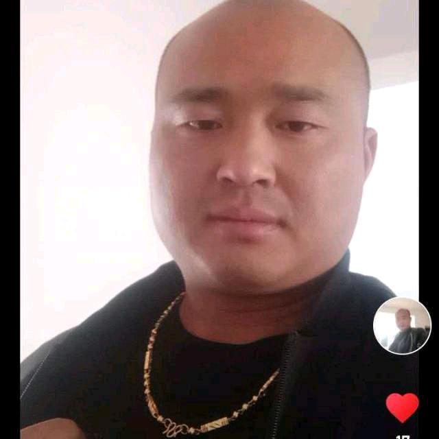 有来有去