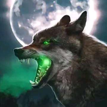 ❤️❤️狼性佛心❤️❤️