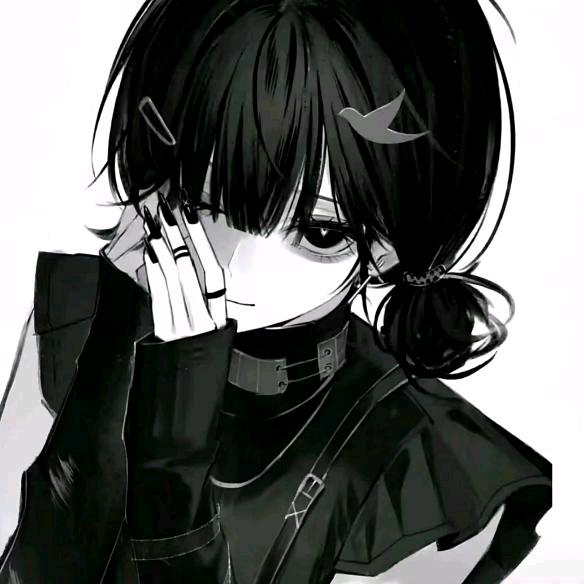 鱿鱼起来     　　　　　　　　广告╳