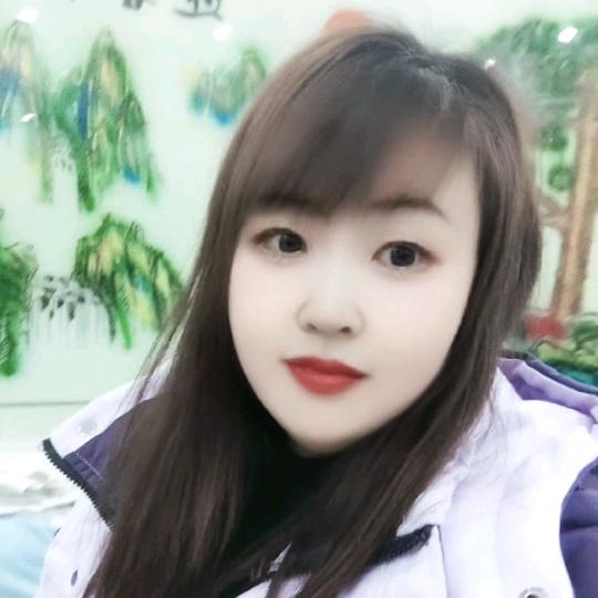 雪中飞情