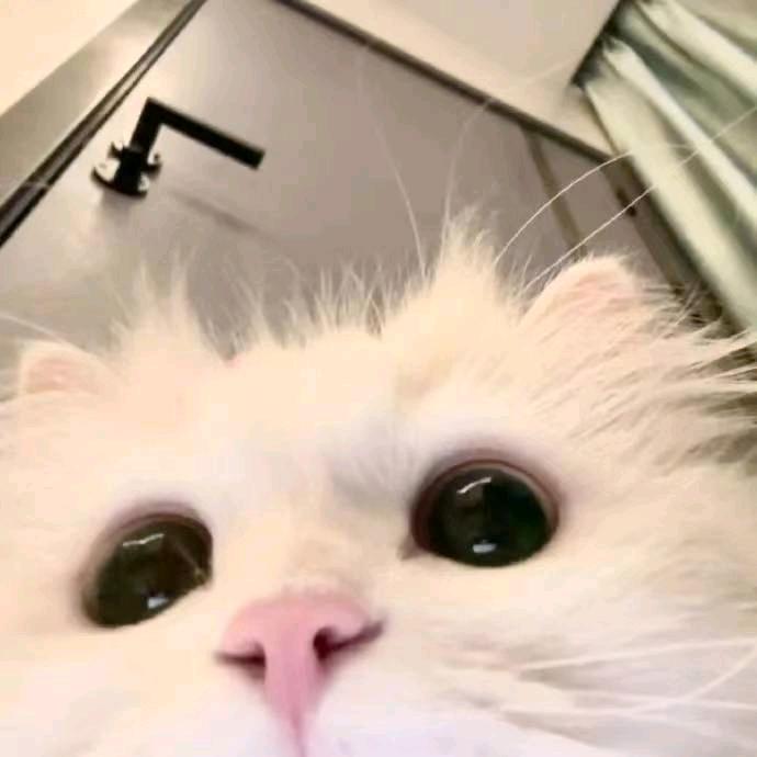 李翼