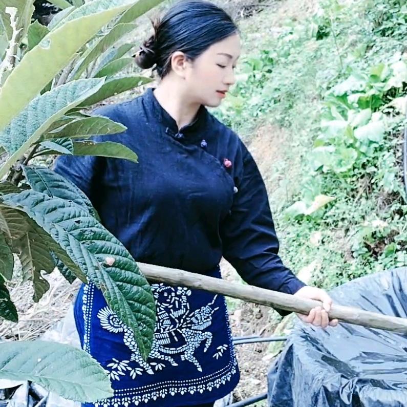 小院龙姐(生活日常)