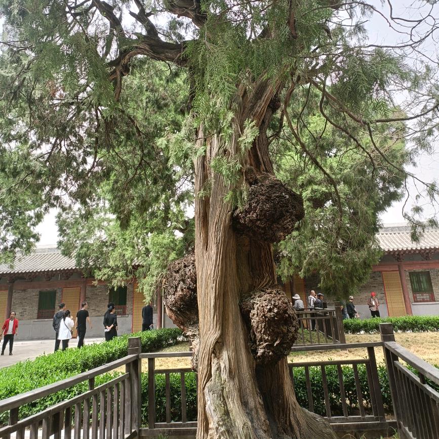 ໌杯🍶中ᮨ烈酒🚬༗敬এ余དྷ生࿐