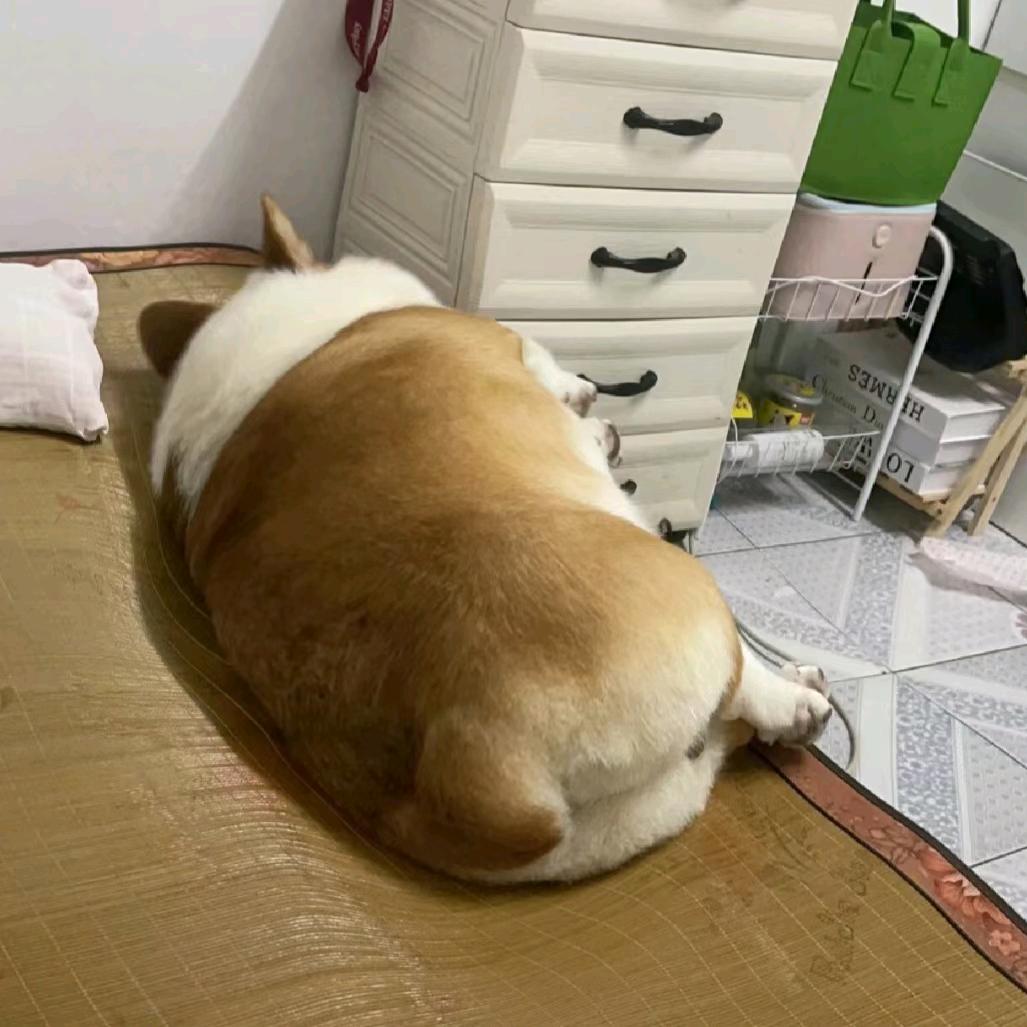 护花使者>ω<