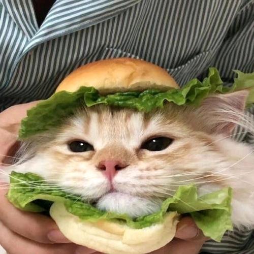 失心