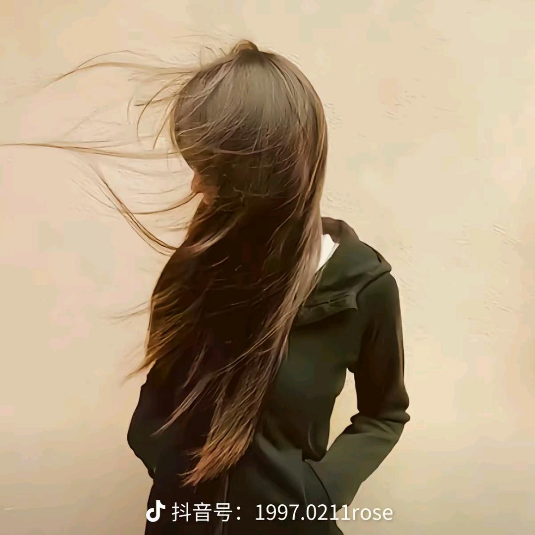 08楠