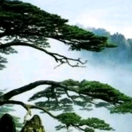 ℳꪋ🍎一生🎉ဤ🌹平安꧉꯭᪲💸