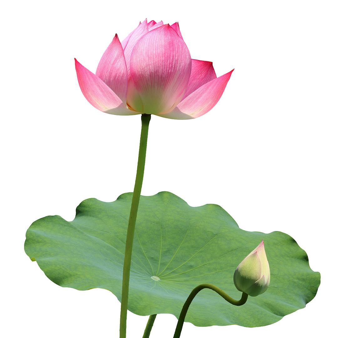 亞林分享好物