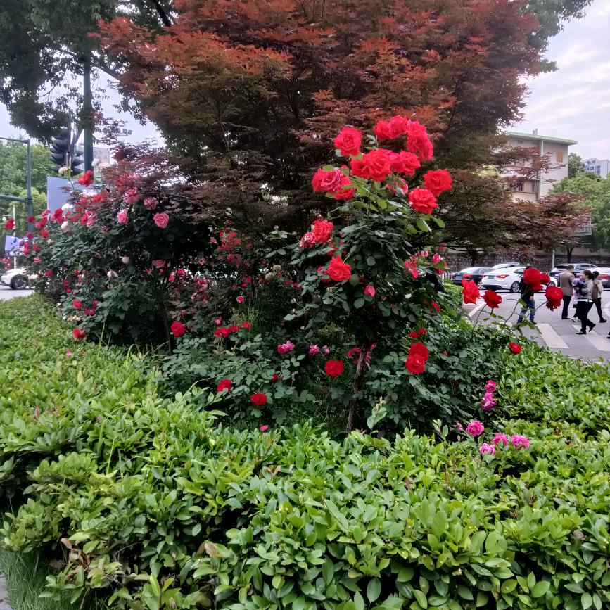 捕风捉影