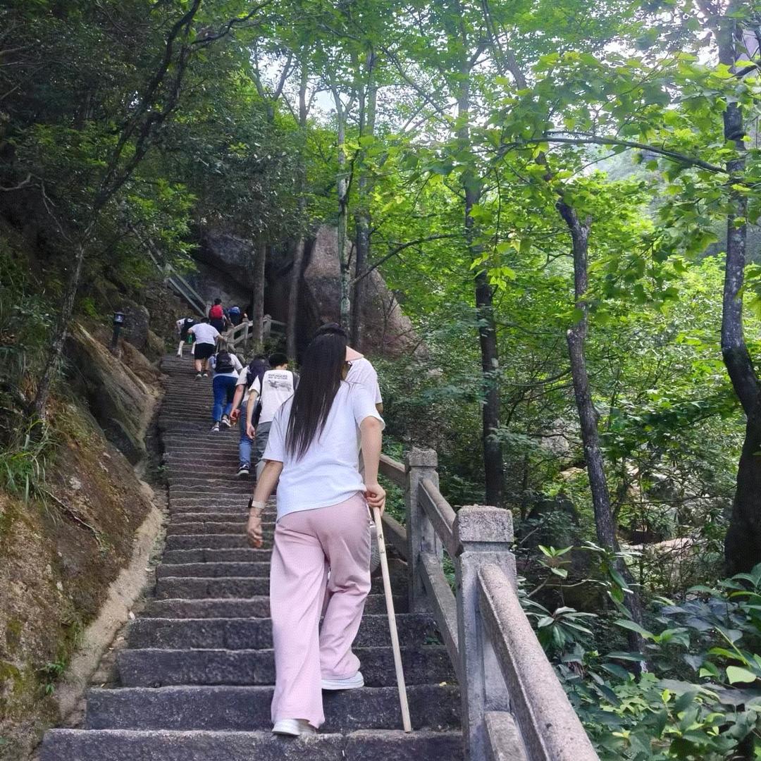 笨笨