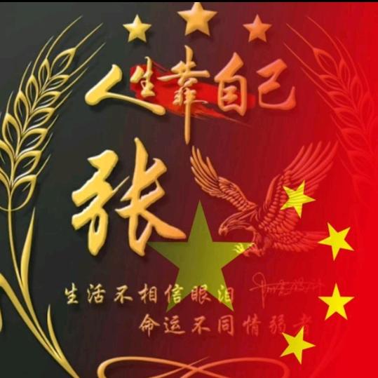 张家公子