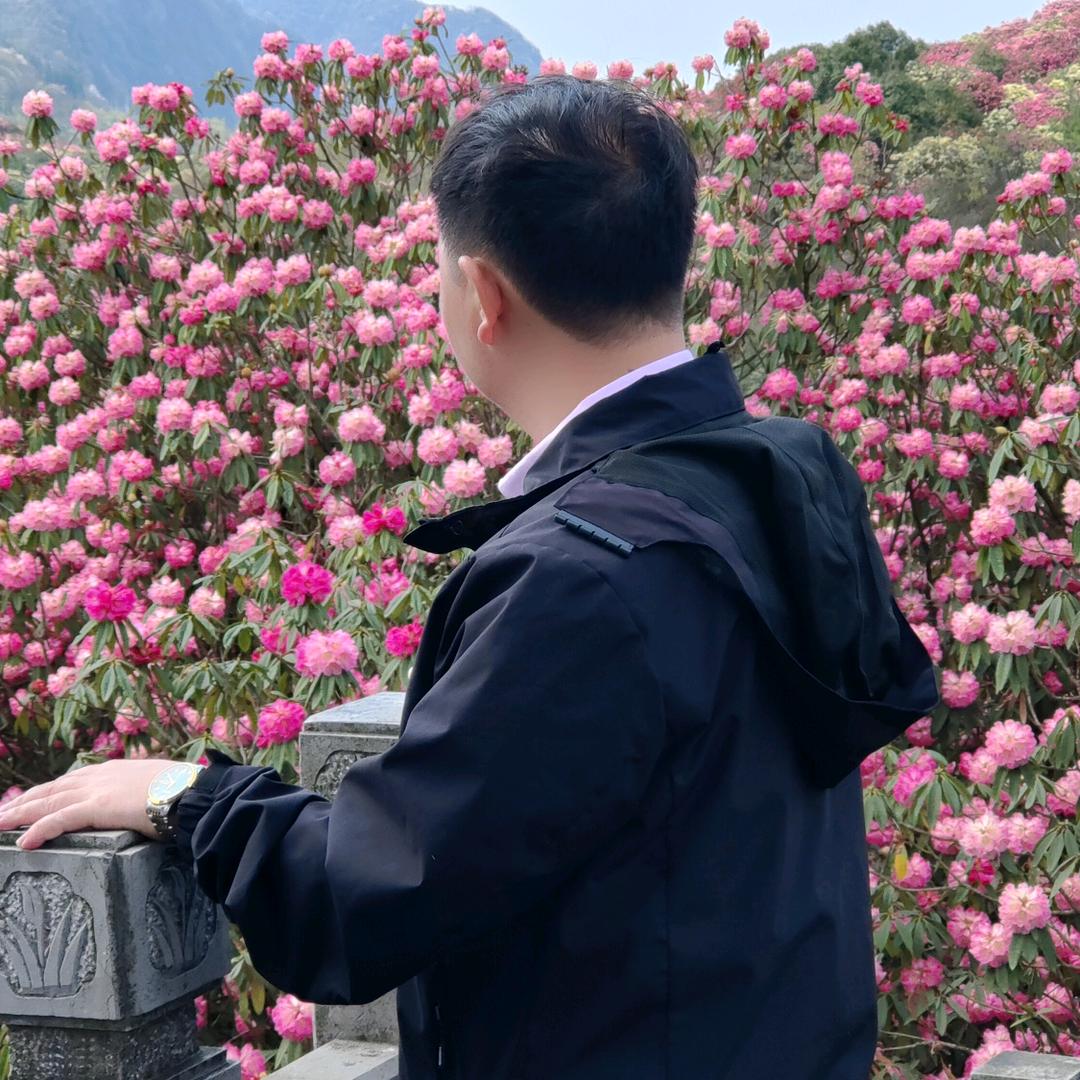 追逐我的明天