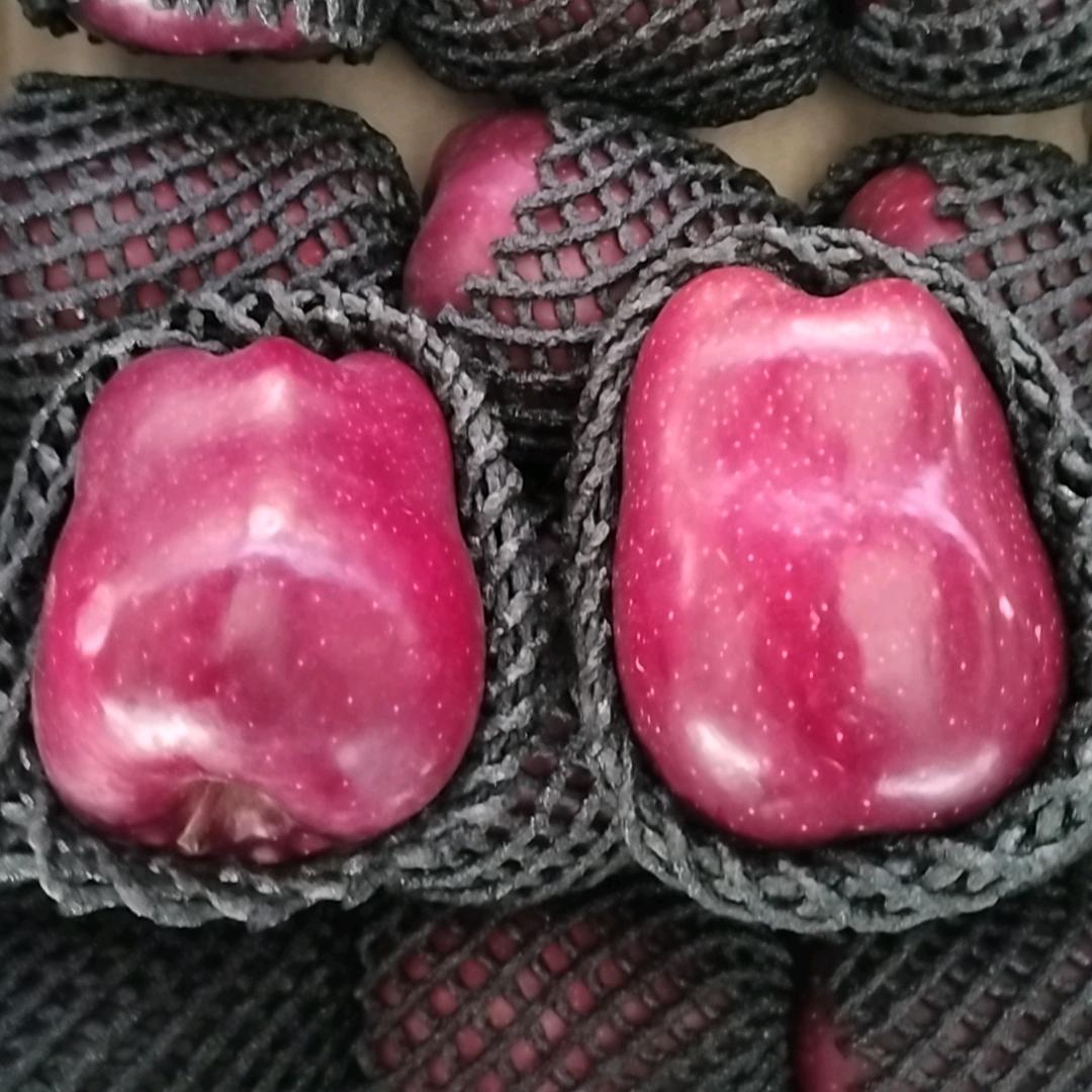 个要上北京
