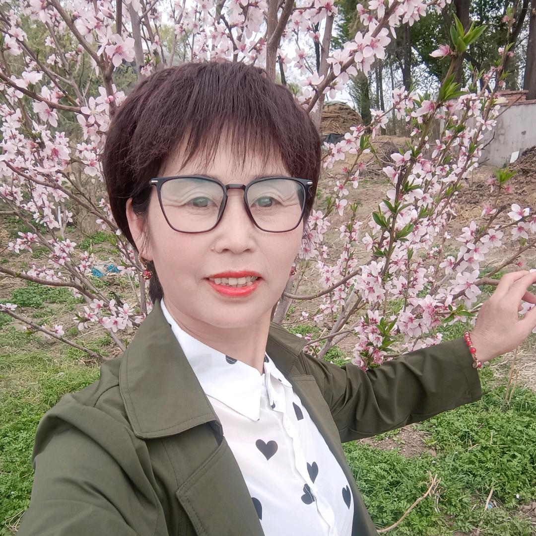 杨姐