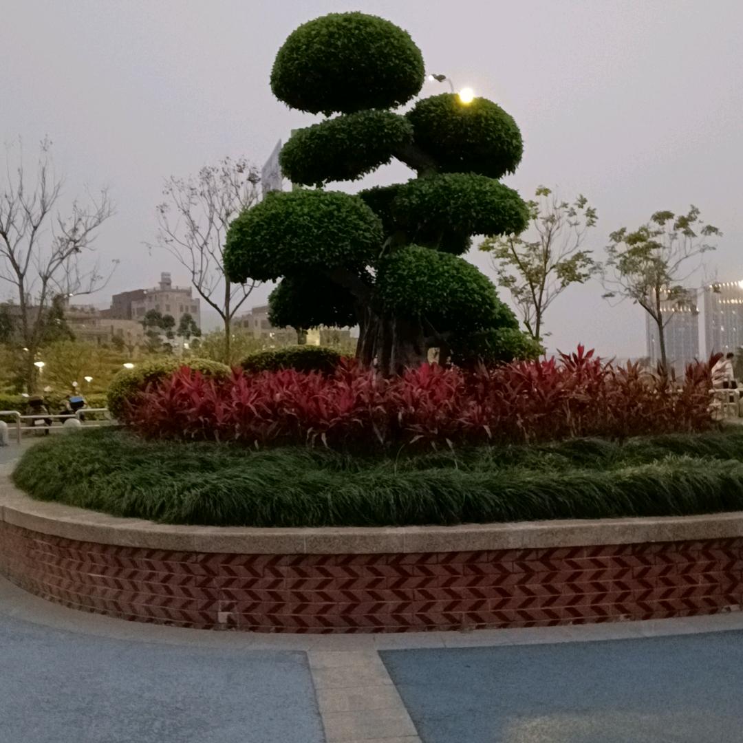小方