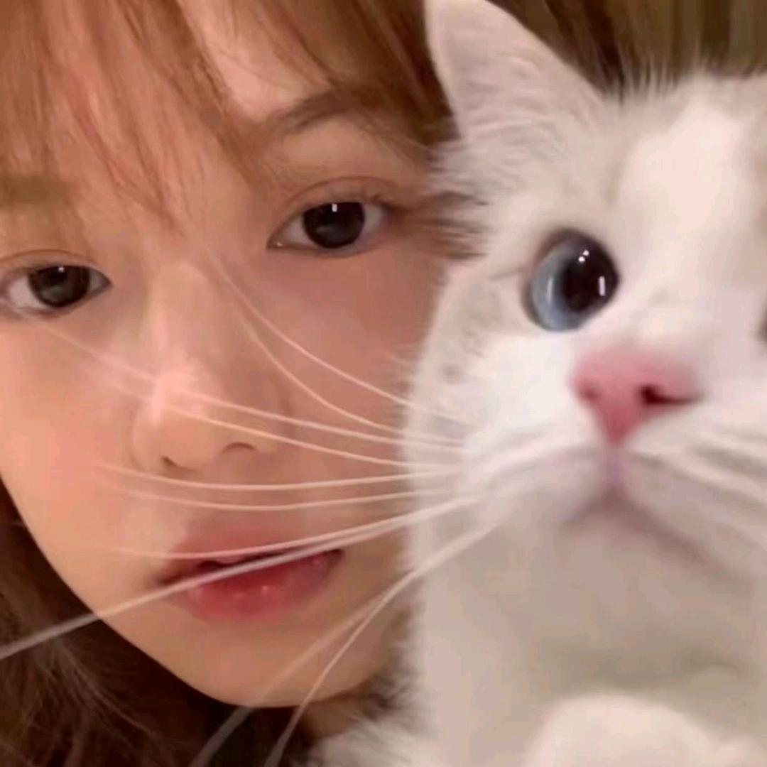 Cherie☁️助眠师