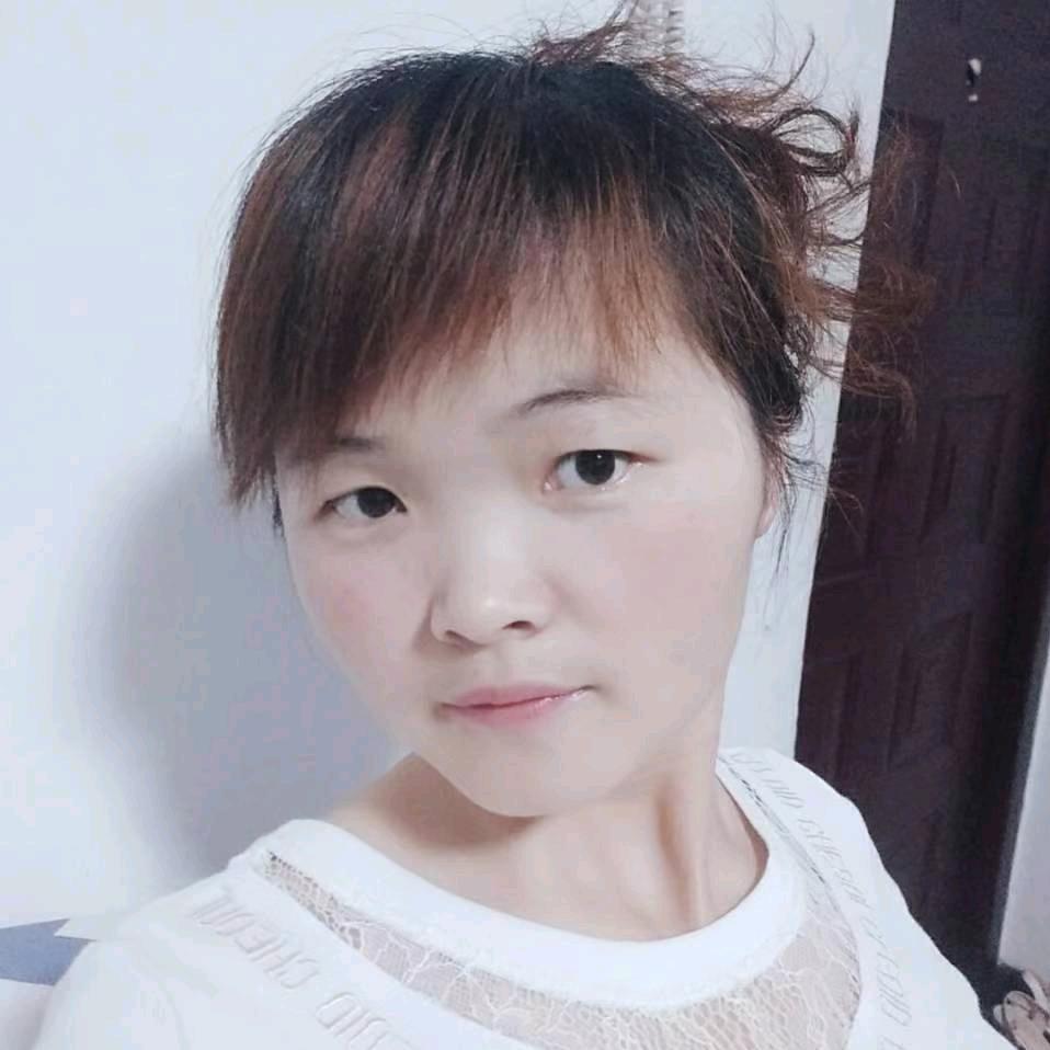 Hh菊