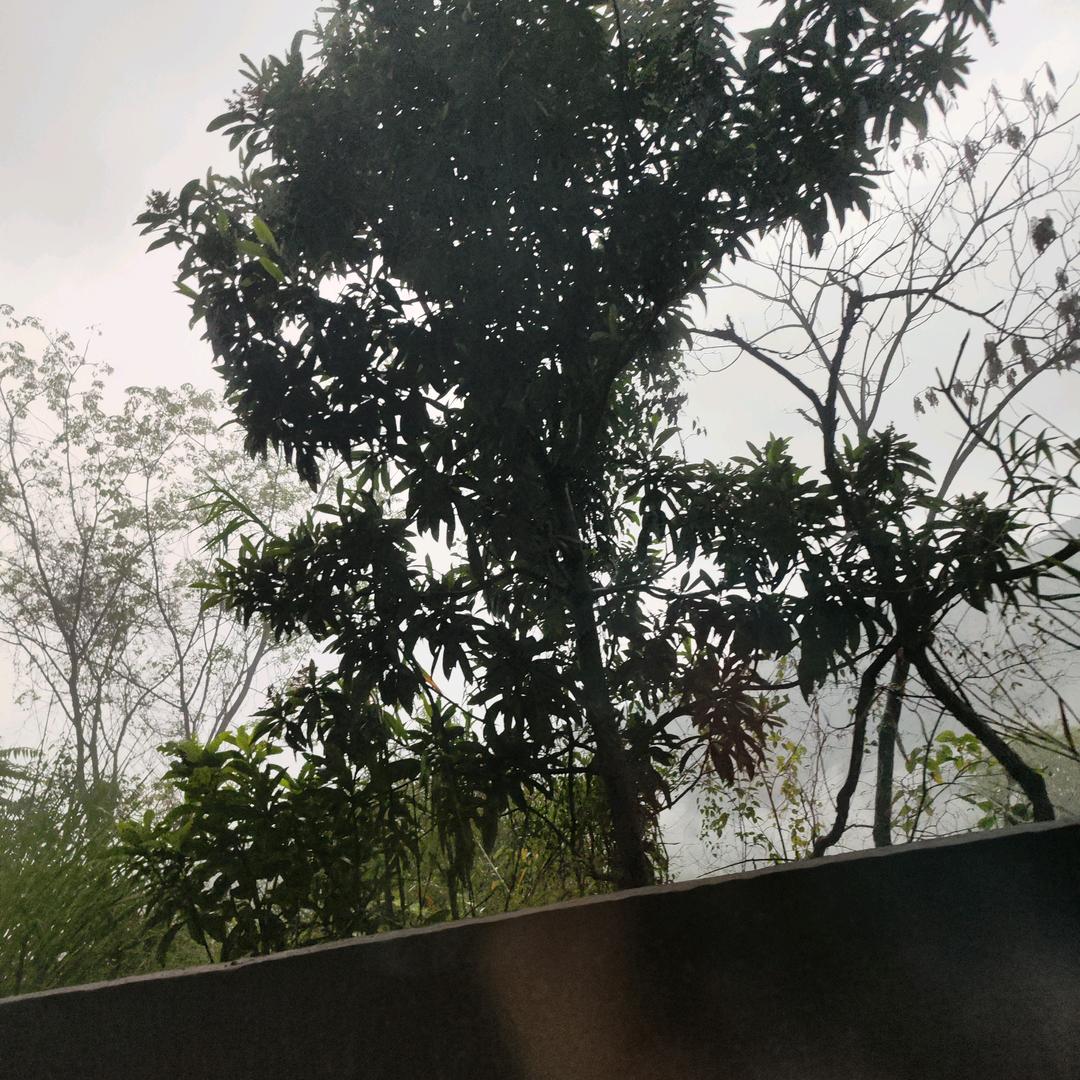 小潘潘