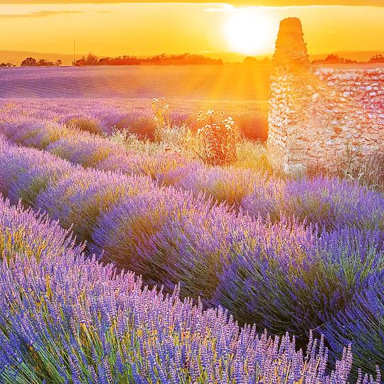 湖南发电机出租车