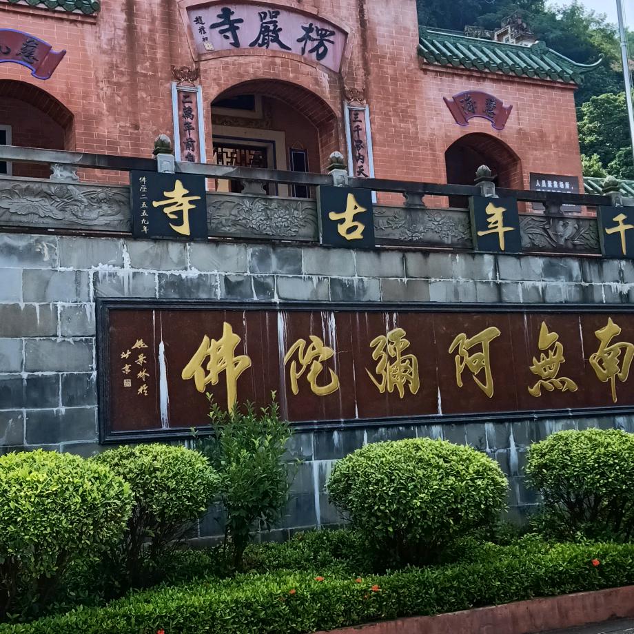 ♨🌴🌸🌾孙🌹🍁哥🍃➿