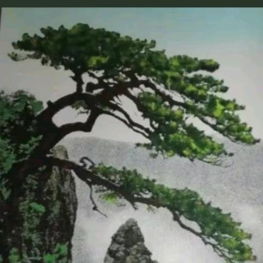 吉星