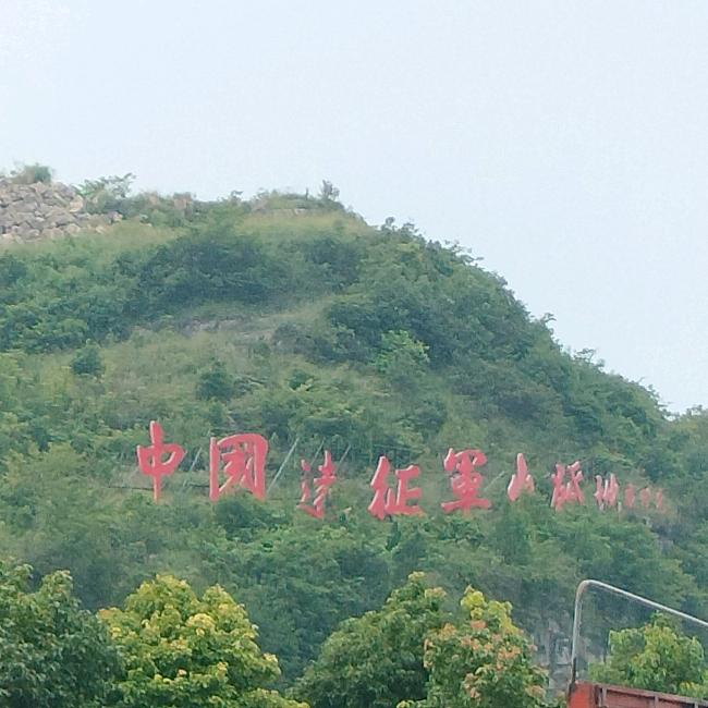 海鱼