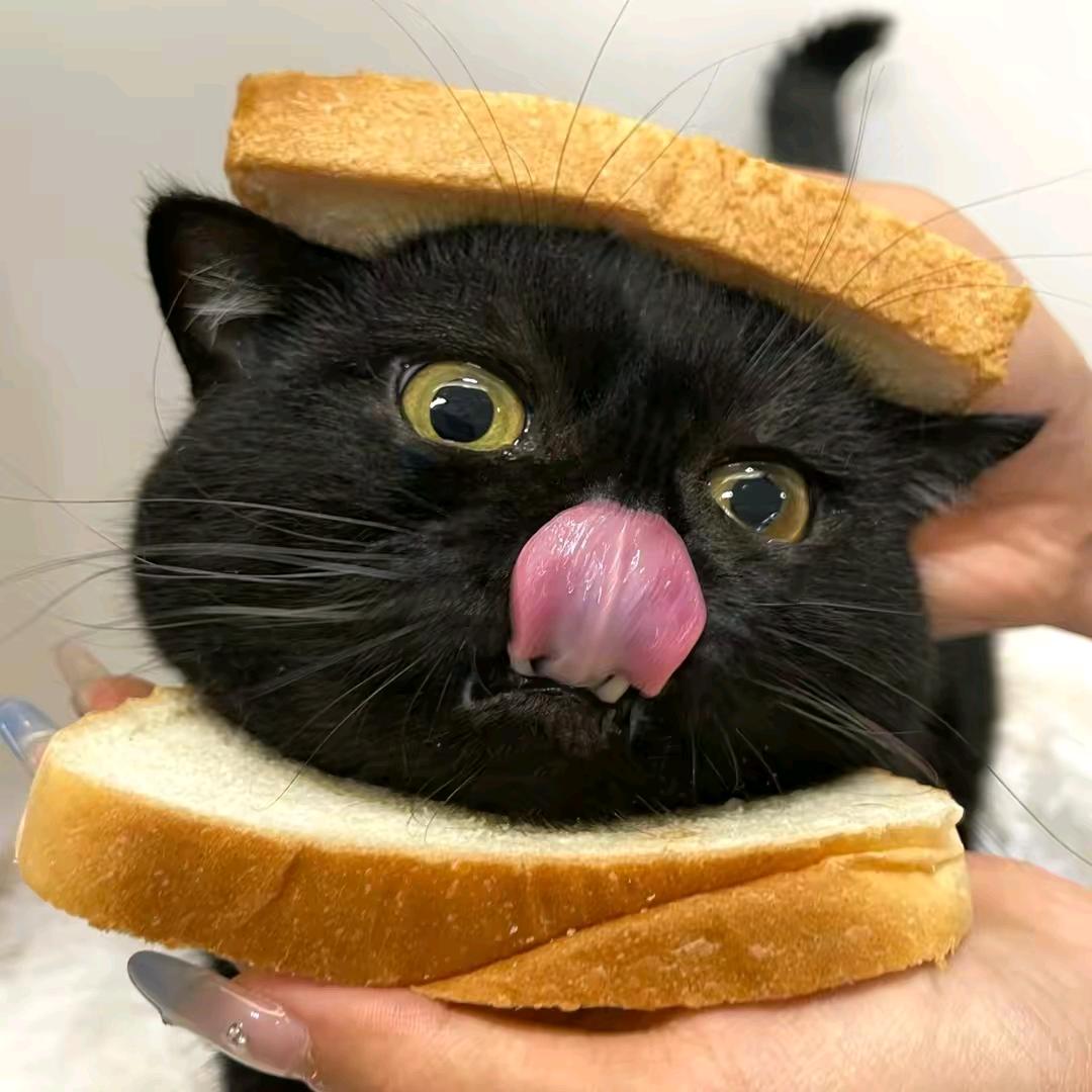 缘起缘落