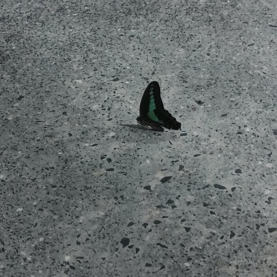 海洋里的小雨点