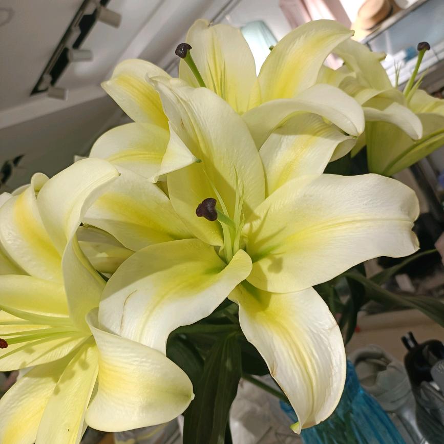 未来可期，菇凉加油