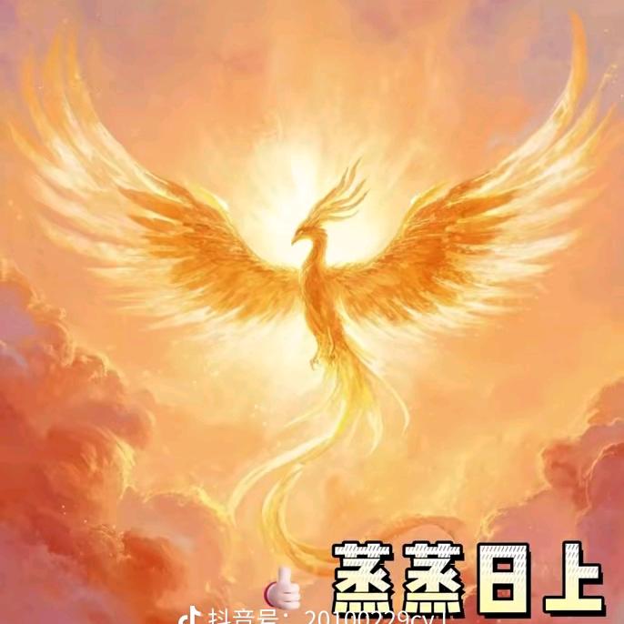 张艳