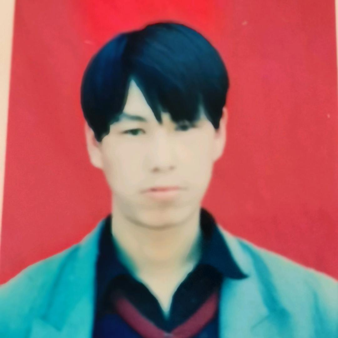 树青春有你