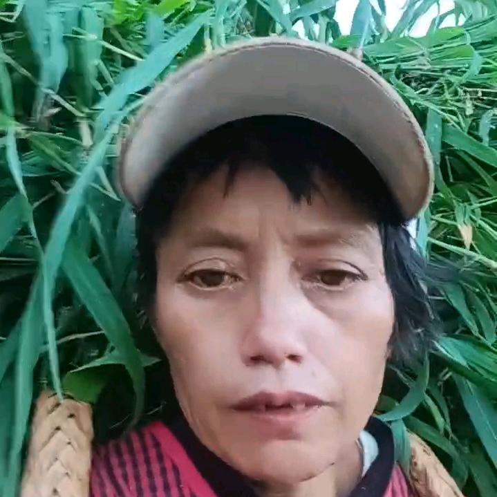 高利姐小