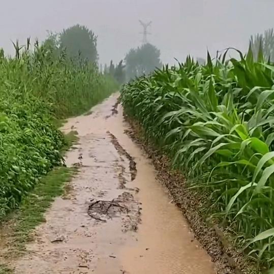 农村人