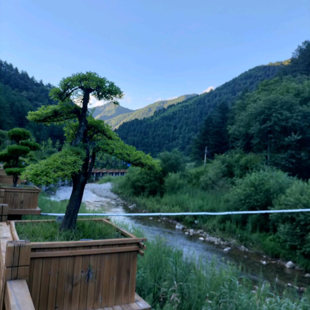 亮炮说金融